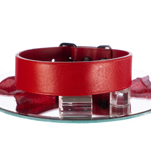 SiaLinda: Halsband Buddy rot 30mm Rindersoftleder, 2 Längen, 2 O-Ringe oder solo - SiaLinda.com